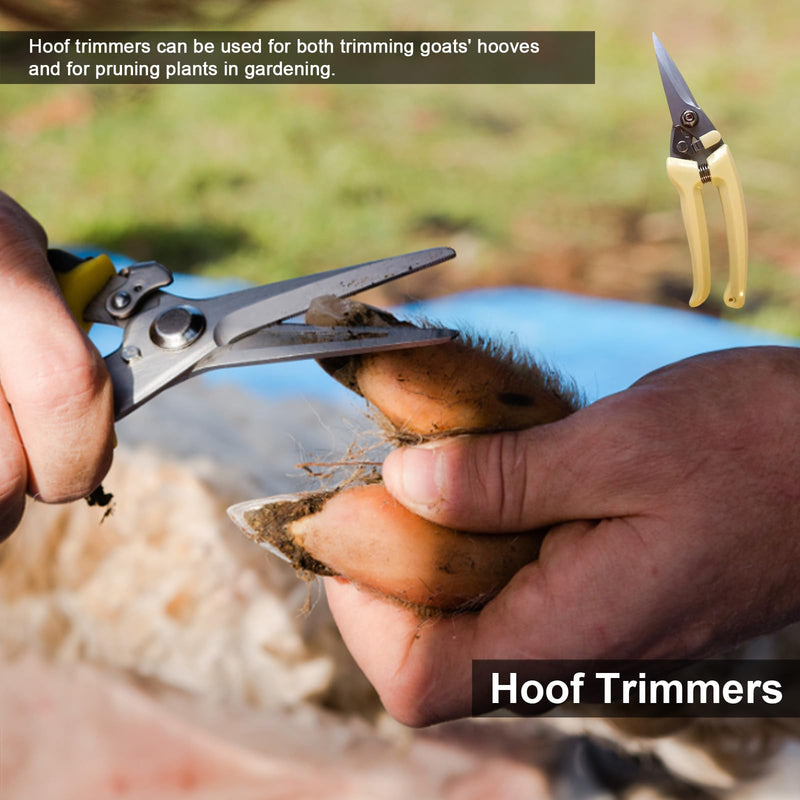 14 Inch Farrier Tools, Professional Farrier Tool Kits Horses Hoof Trimmers Suitable for Hoof Trimming for Horses Cows, Sheep, Donkeys and Other Medium Sized Animals Rasp Hoof Cutter Set
