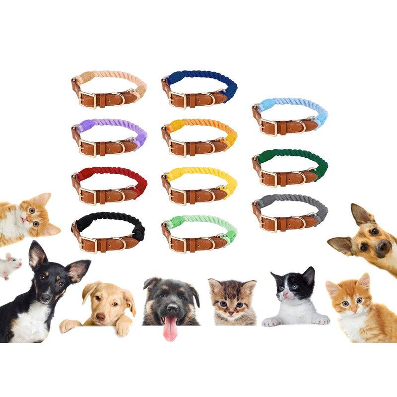 Classic cotton dog collar. Stylish and robust. Ideal for small pet owners. Quality pet accessory. Durable collar.