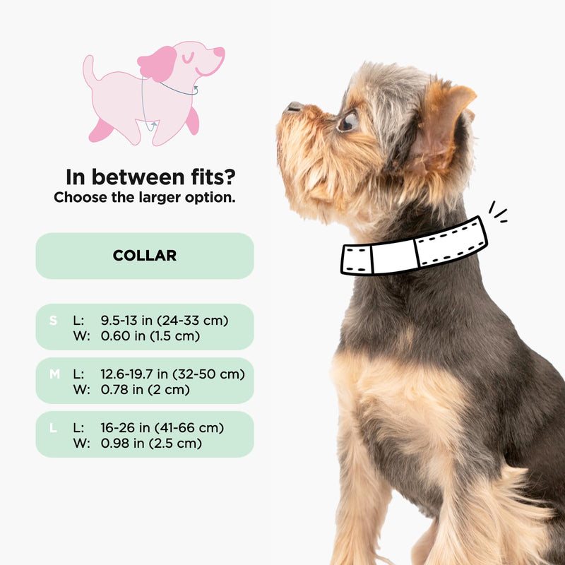 Sassy Woof Dog Collar Hot Wheels™ - S, Adjustable, Durable, Comfortable and Stylish Pet Accessories for Small Dogs - Officially Licensed - PawsPlanet Australia