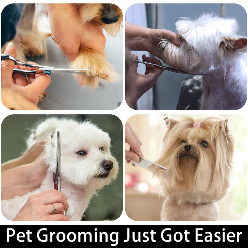 Dog Grooming Scissors with Safety Round Tip,Professional Dog Grooming Kit,Dog Hair Shears Set,Incude Thinning、 Curved、Straight Scissors and Comb.Suitable for The Right Hand Blue 5 in 1 - PawsPlanet Australia