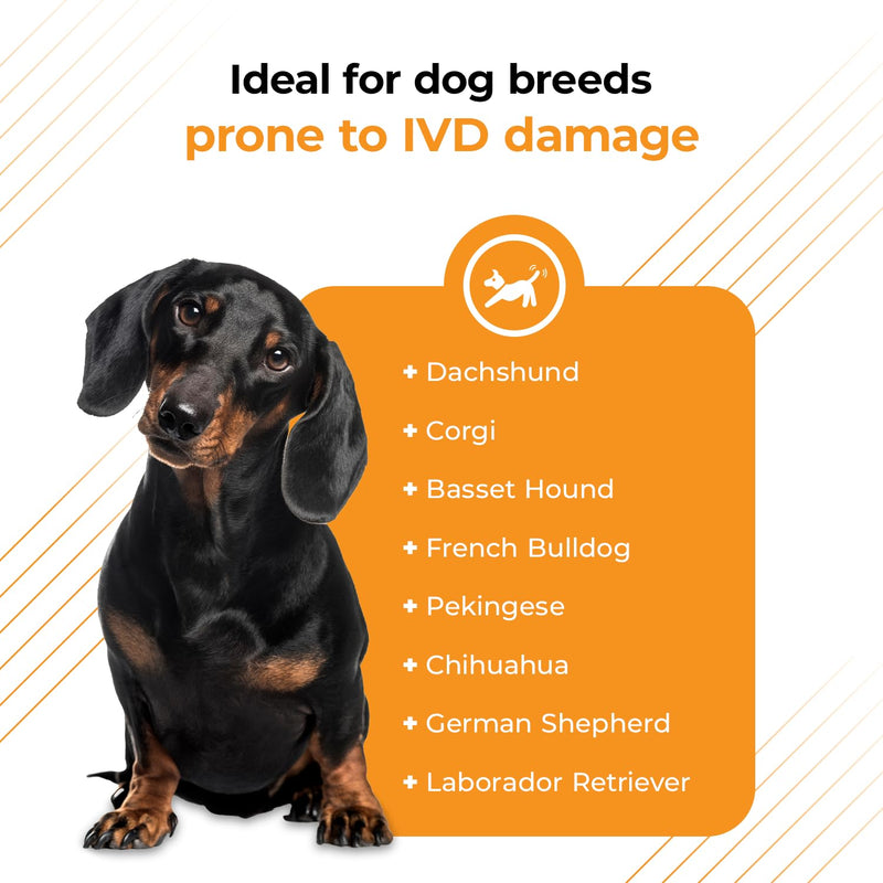 VetriScience Healthy Spine & Disc Easy-Open Capsules, Back & Spinal Support Chondroitin & Taurine Supplement for Dogs, Perfect for Dachshunds, Corgis, Frenchies & More, 180 Count 180 Tablets for All Dogs Capsule - PawsPlanet Australia