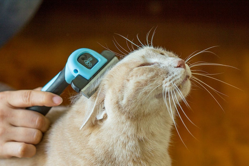 Pet Grooming Brush for Shedding, Long & Short Hair, Reduces Shedding by More Than 95%, Professional Deshedding Tool for Dog & Cat, Black - PawsPlanet Australia