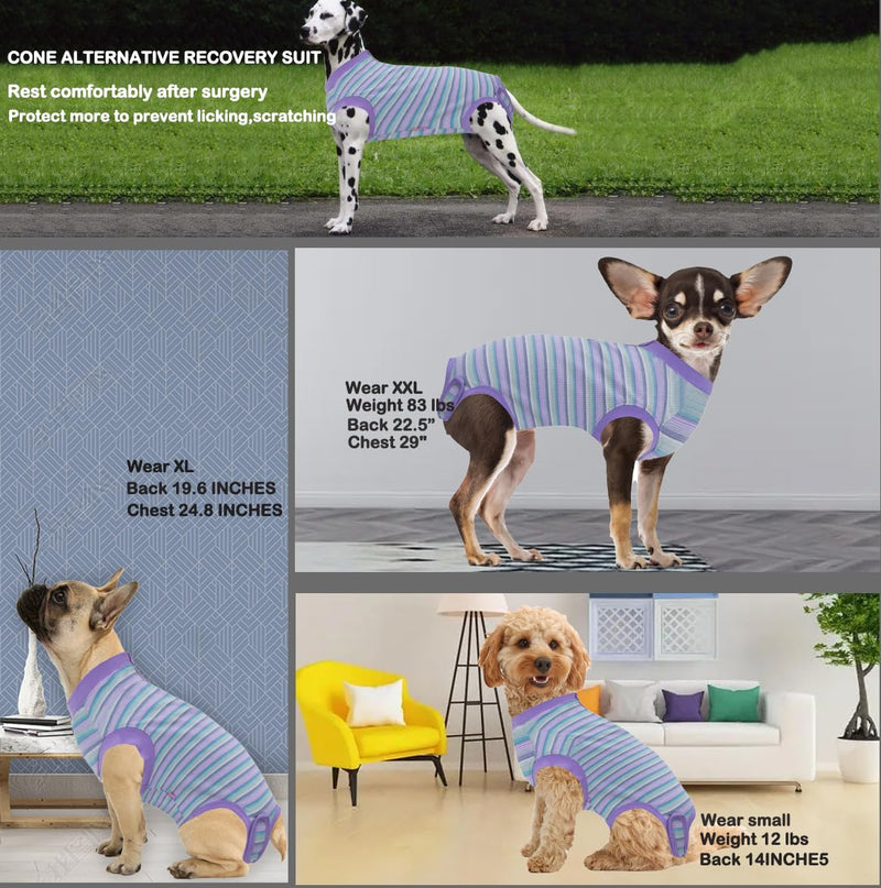 Wabdhally Dog Surgery Recovery Suit,Surgical Recovery Female Spay Suit for Medium Dogs Cats,Surgery Recovery Multi Purple Onesie M Multi Purple Striped - PawsPlanet Australia