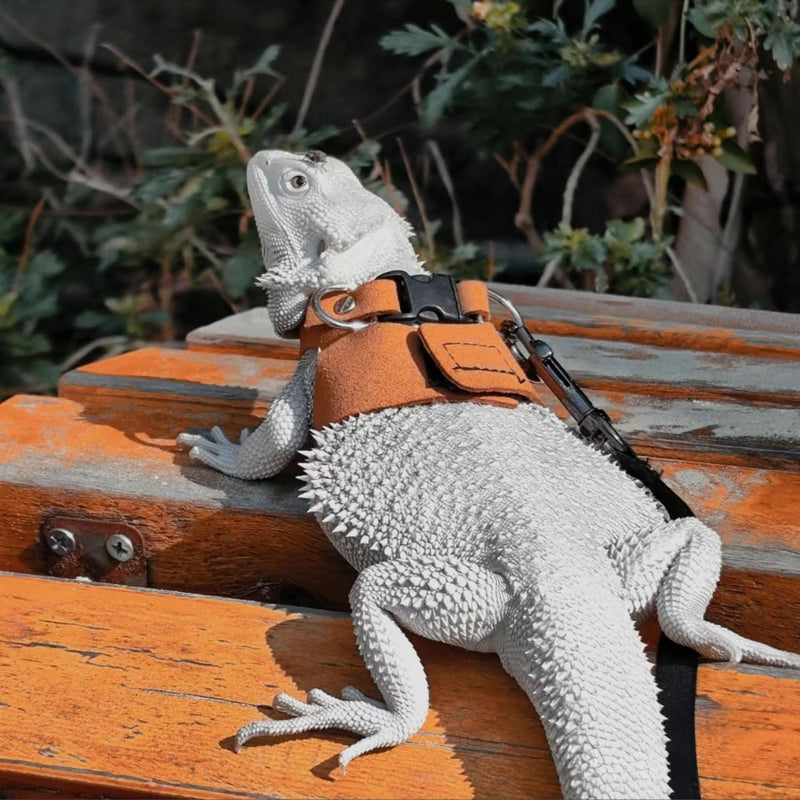 3 Pack Bearded Dragon Harness and Leash Set - Adjustable Soft Leather Lizard Harness with Retractable Leash Small Animal Traction Rope Walking Vest Accessories for Reptile Squirrel Rat (3 Pack) 3 Pack - PawsPlanet Australia