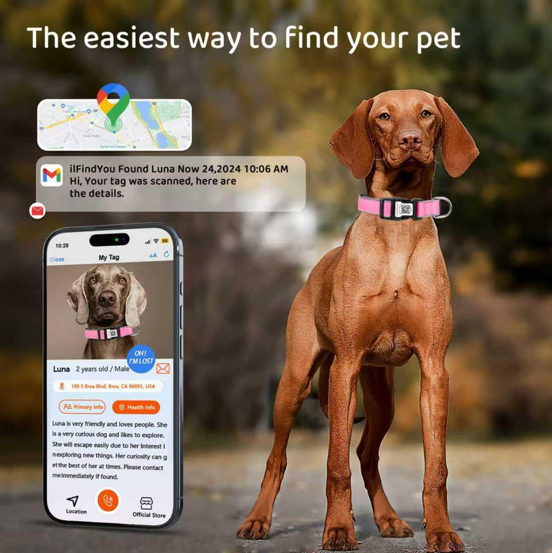 Personalized Dog Collar with QR Code tag for pet ID, Reflective Safety Collar, Suitable for Small, Medium, and Large Dogs (Pink, Large) Pink - PawsPlanet Australia