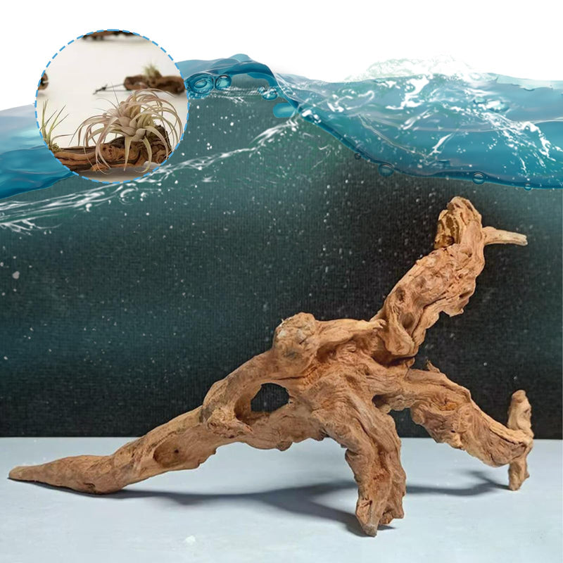 Aquarium Driftwood Natural Aquarium Decoration Tree Trunk with Rockery View Driftwood Landscaping Decoration Dead Wood Root Decor Hideouts (Random Shape) 5-10cm - PawsPlanet Australia