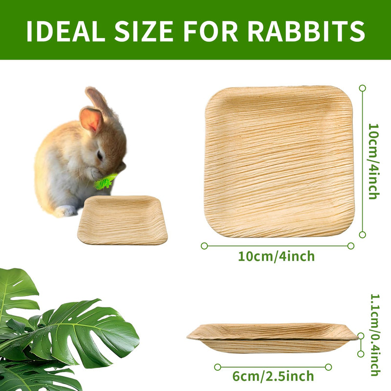 Disposable Palm Leaf Bowls 4 inch Bowl for Rabbits, Compostable Like Bamboo Bowls Disposable Bowl Bunny Chew Toys Chewable Dish for Rabbits,Bunnies,Hamsters,Parrot (25 Pcs) 25Pcs - PawsPlanet Australia