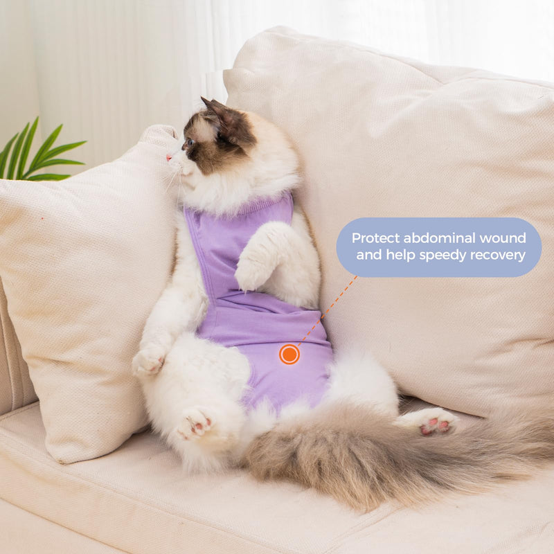 Avont Cat Recovery Suit Female Kitten After Spay Surgery Bundle with 3-in-1 Cat House for Indoor Cats