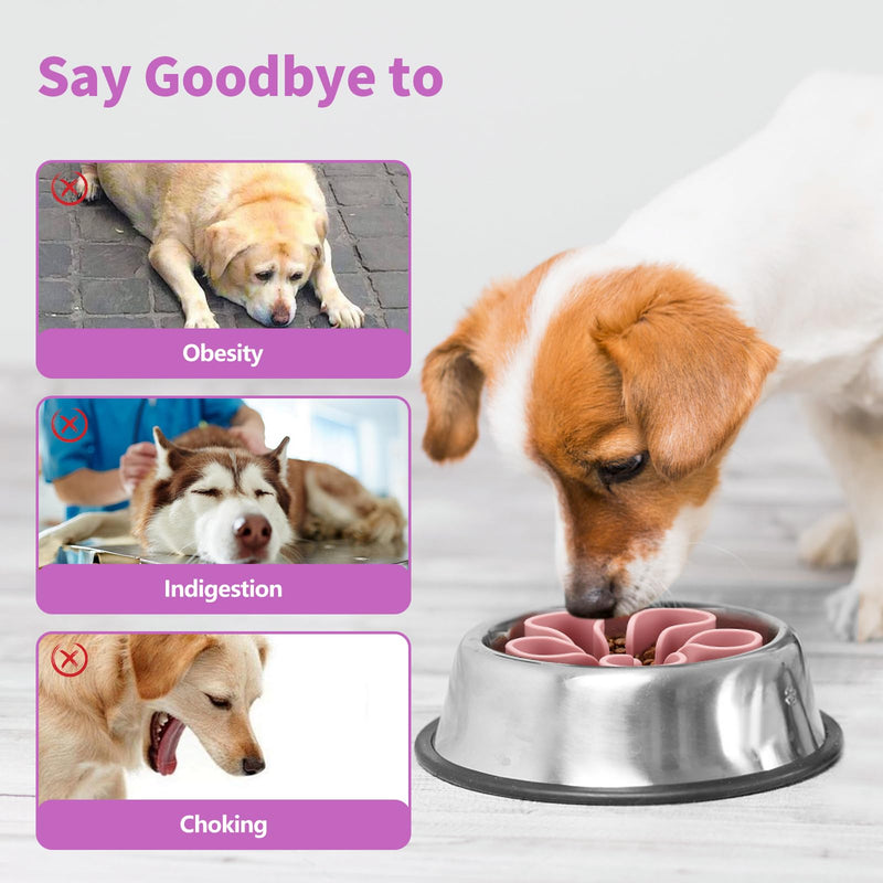 Slow Feeder Dog Bowls Insert, Bestalk Soft Silicone Slow Eating Dog Bowl Insert with Suction Cups for Small, Medium and Large Dogs(Pink, M) Pink - PawsPlanet Australia