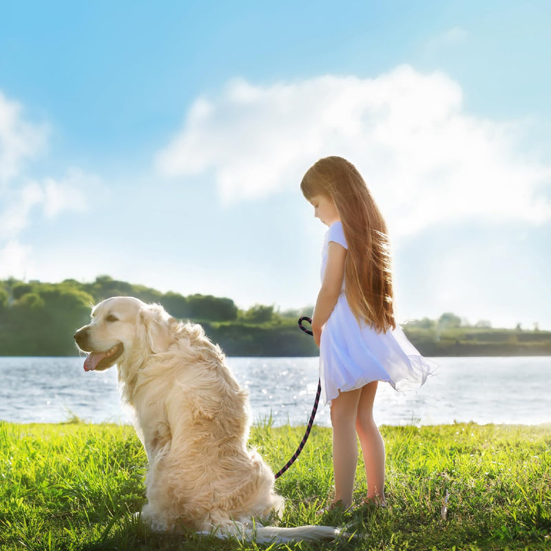 DOCO Dog Leash for Small Dogs - Reflective Rope Lead w/Soft Silicone Grip, Click & Lock Snap Lightweight Leash Dog Leashes, Durable for Walking & Running - Blue, Width - 3/8”, Length - 5FT S-5ft - PawsPlanet Australia