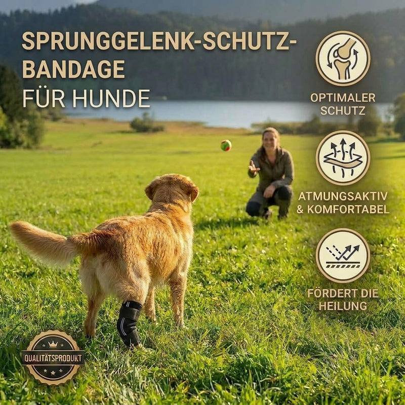 Dog Hock Brace / Hock Bandage for Dogs / Hock Protector Wrap (L) Protective bandage L