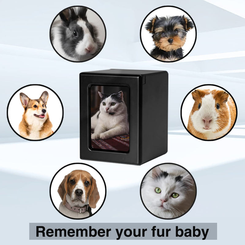 PCS Pet Urns for Cats, Cat Photo Urn, Cat Urn for Ashes, Urns for Cat Ashes, Pet Cremation Box Black-Small S(0-25lbs) - PawsPlanet Australia