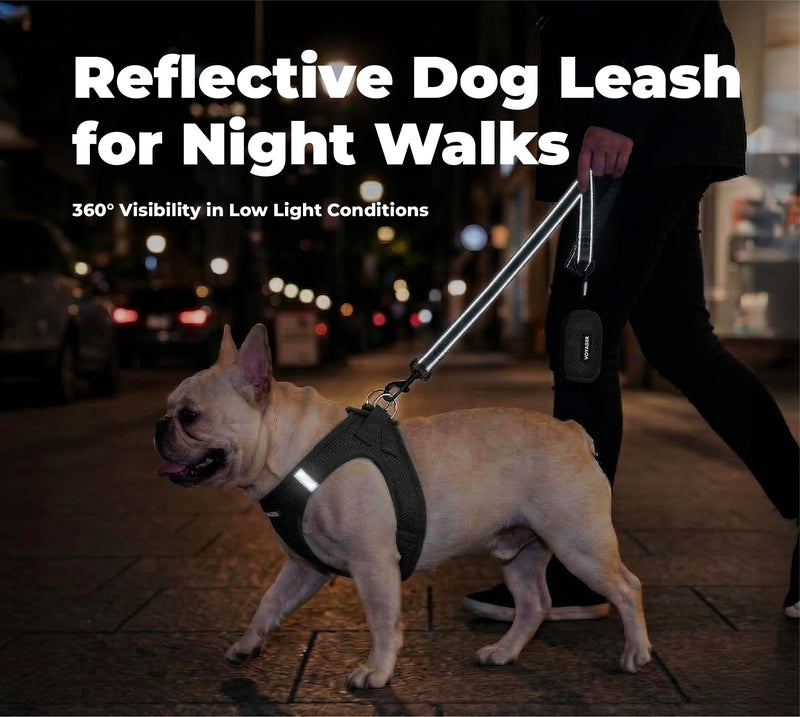 Voyager Reflective Dog Leash with Neoprene Handle, 6ft Long, Supports Small, Medium, and Large Breed Puppies, Cute and Heavy Duty for Walking, Running, and Training - Black, L Leash (Black) 1" x 6ft - PawsPlanet Australia