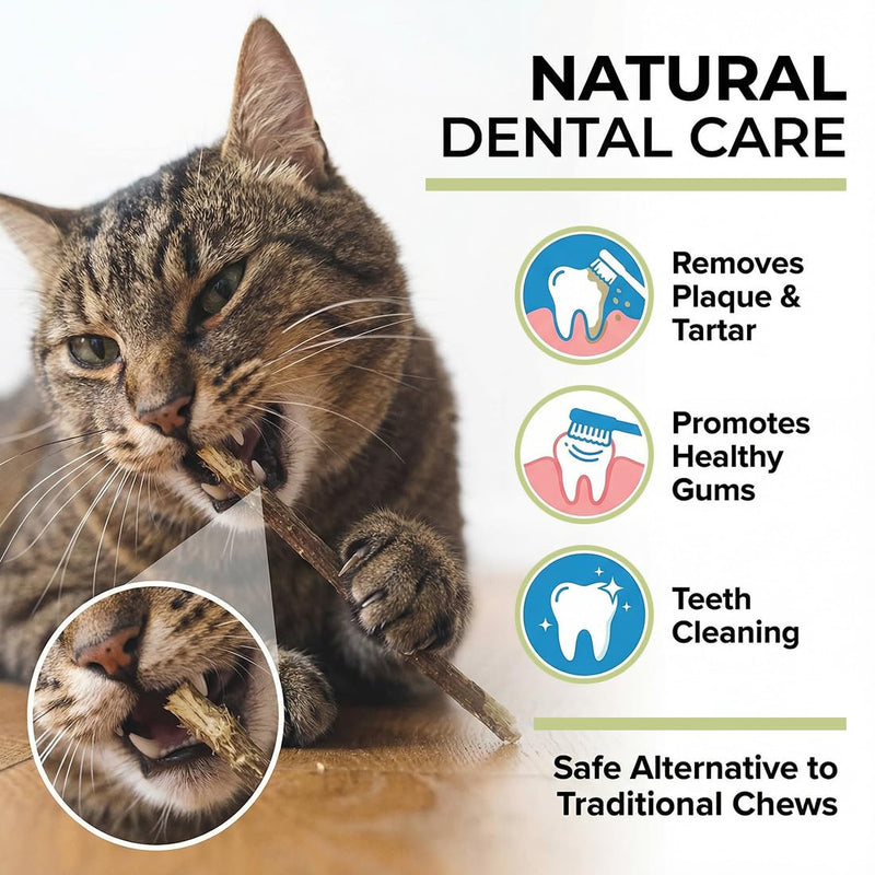 5 Sticks for Cats Dental Care Natural, Chew Bone Against Bad Breath Toothbrush and Cat Toy Made of Wood for Self-Employment