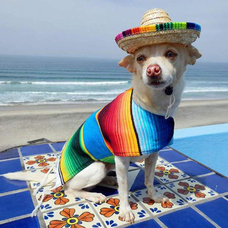 Dog & Cat Straw Sombrero Hat, Mini Mexican Hats, One Size Fits All, Lightweight, Multi-Use Pet Apparel