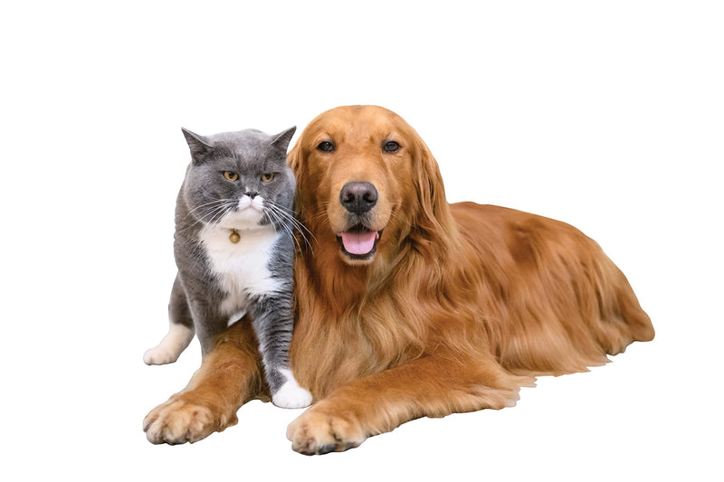 Fur Shark - Multi-Edge Pet Hair Remover - PawsPlanet Australia