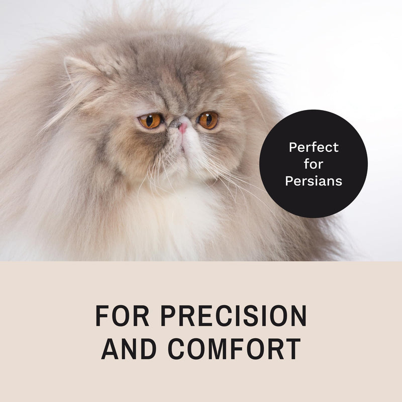 Eye Envy ProPowder Applicator Brush for Dogs and Cats | Use to safely and evenly apply Tear Stain Powder | Small | Washable superfine fiber hair | Long tapered bristles Small (Pack of 1) - PawsPlanet Australia