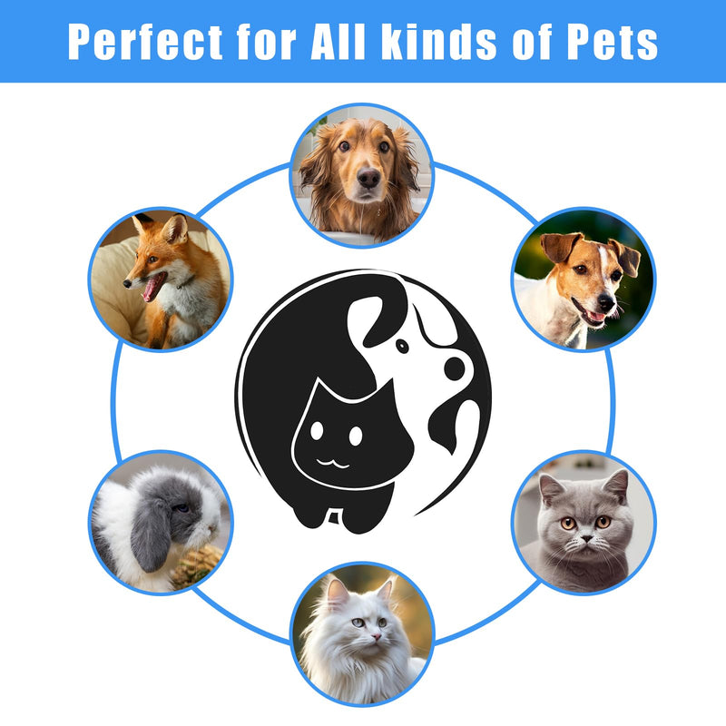 Pet Grooming Kit – Shedding Slicker Brush & Bath Massage Tool for Dogs, Cats, Puppies & Rabbits | Gentle, Easy-Clean Design for Healthy Coats & Relaxing Grooming 8 PCS Gray - PawsPlanet Australia