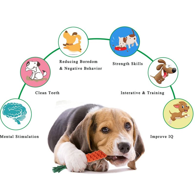 10 Pack Dog Rope Toys, Puppy Teething Chew Toys, Durable Dog Rope Toys Bundle for Boredom,Interactive Dog Toys for Small,Medium &Large Breed 10 PACK - PawsPlanet Australia