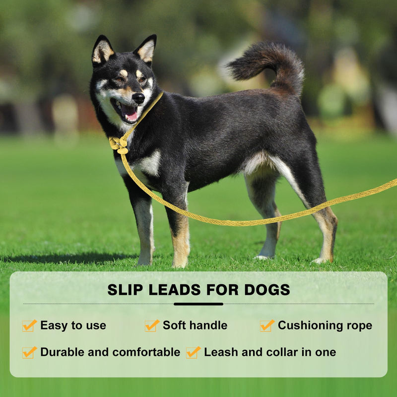 Lynxking Dog Leash Slip Lead Reflective Breathable Rope Comfortable Strong No Pull Slip On Pet Training Lead for Dogs - PawsPlanet Australia