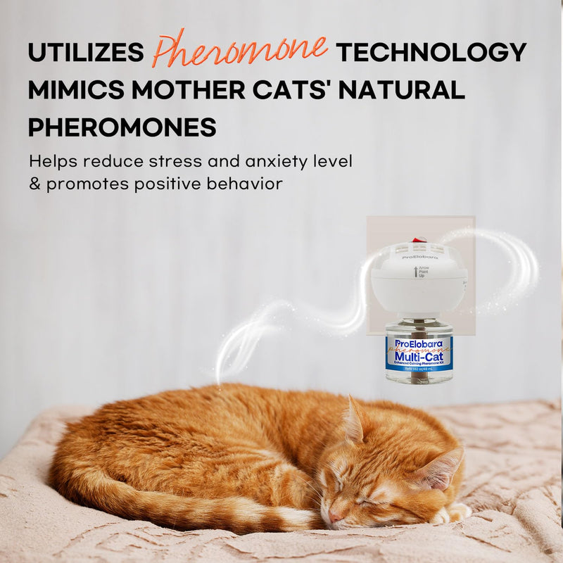 Cat Calming Pheromone Diffuser: Cat Calming Pheromones Diffusers - Reduces Stress & Anxiety with Calming Pheromones - Cat Pheromones Diffuser / 60 Day Supply BlueW3