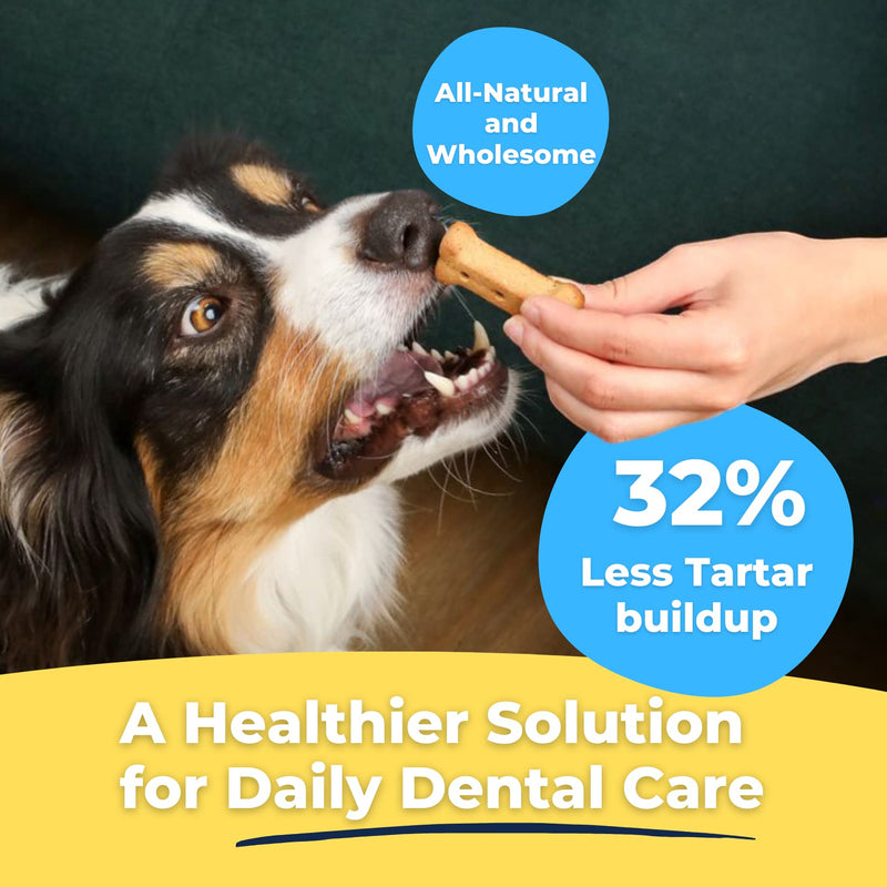 Tartar Shield Dental Dog Biscuits | Safe Daily Treats | Cookie Cleans Teeth & Gums Fresh Breath Natural Oral Health Support | Tasty Lean Chicken Flavor | USA Made - PawsPlanet Australia