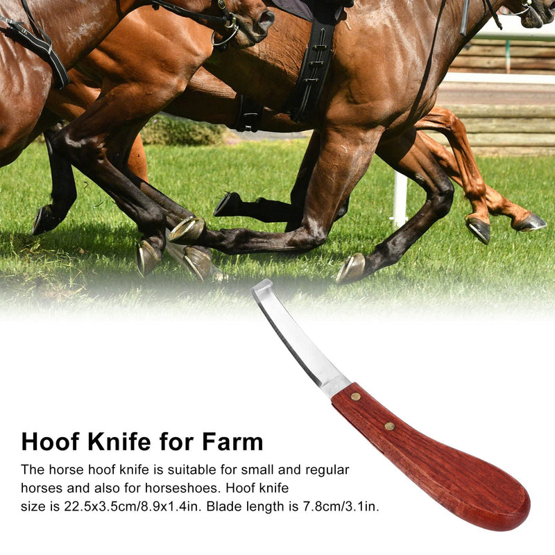 Right Handed Horse Hoof Knife, Curved Stainless Steel Trimming Tool Ergonomic Wooden Handle for Farrier Stable single right hand