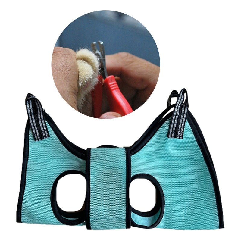 Compact pet grooming accessories: Comfortable and safe for trimming claws and bathing kittens and puppies.