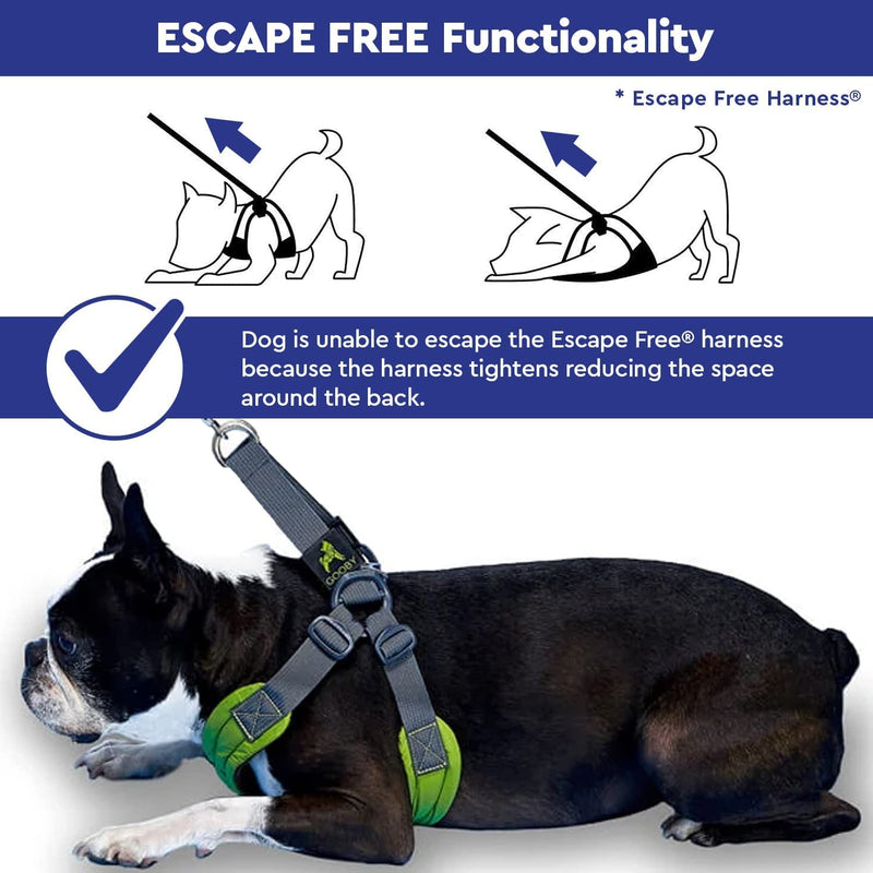 Gooby Escape Free Easy Fit Harness - Blue, Small - No Pull Step-in Patented Dog Harness with Quick Release Buckle for Small to Medium Dogs Small chest (16~19.25")