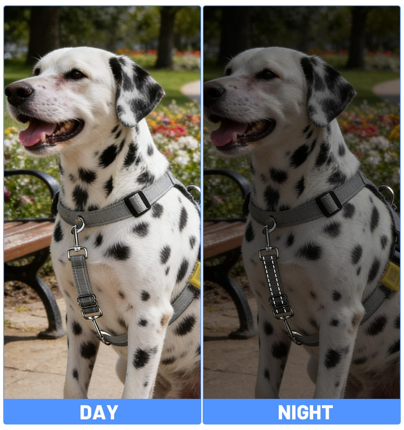 2 Pack Black Leash for Dogs, Adjustable Dog Leash Connector with Reflective Double Ended Backup Clasp, Leashes Connector for Harness to Collar (Grey & Black) - PawsPlanet Australia