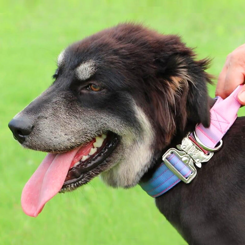 Tactical Dog Collar, Wide Thick Heavy Duty Dog Collar with Handle, Soft Neoprene Padded Military-Grade Nylon Training Collar with Quick Release Metal Buckle for Large Dogs (Pink, L,XL) Pink - PawsPlanet Australia