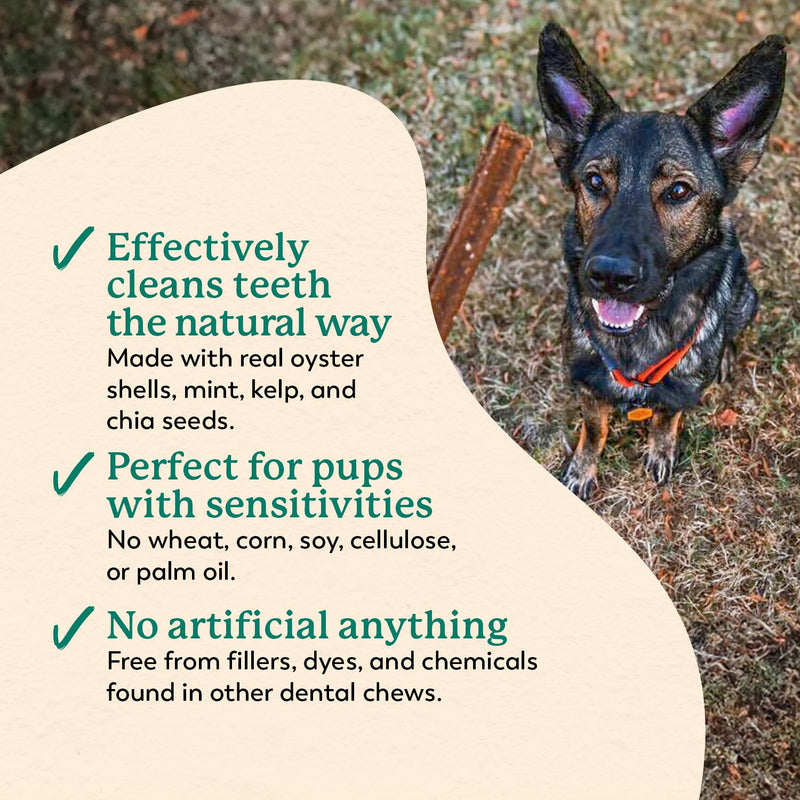 Dr. Harvey's Holistix Dental Chews for Dogs - Dog Teeth Cleaning & Fresh Breath Treats, Sweet Potato Mint (24 Sticks) - PawsPlanet Australia