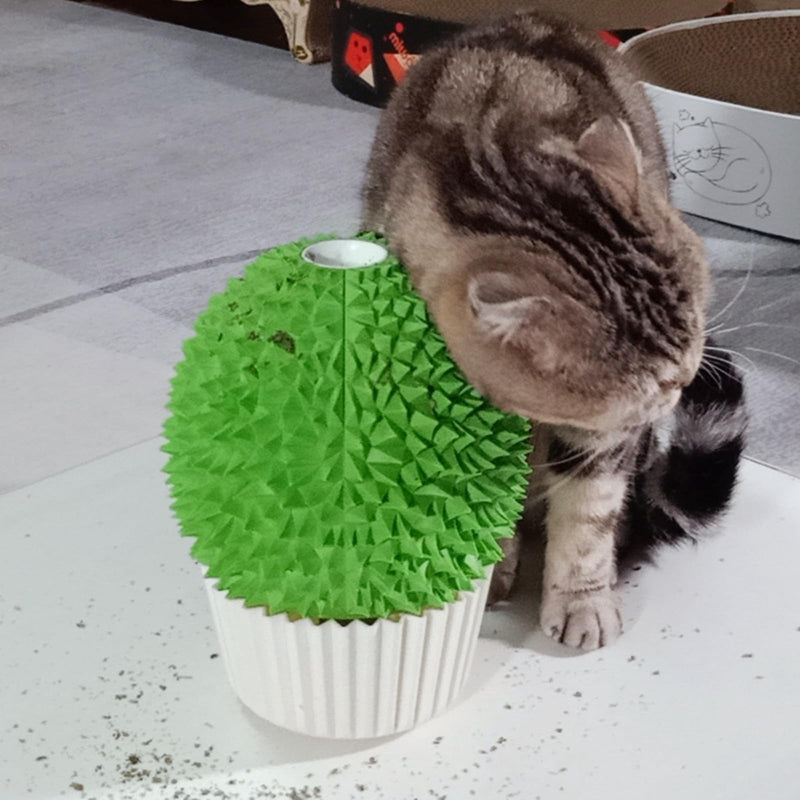 Catnip Feeder - Cat Face Scratcher Wall Corner Massage Comb for Indoor Cats Self Grooming Brush (Green) green - PawsPlanet Australia