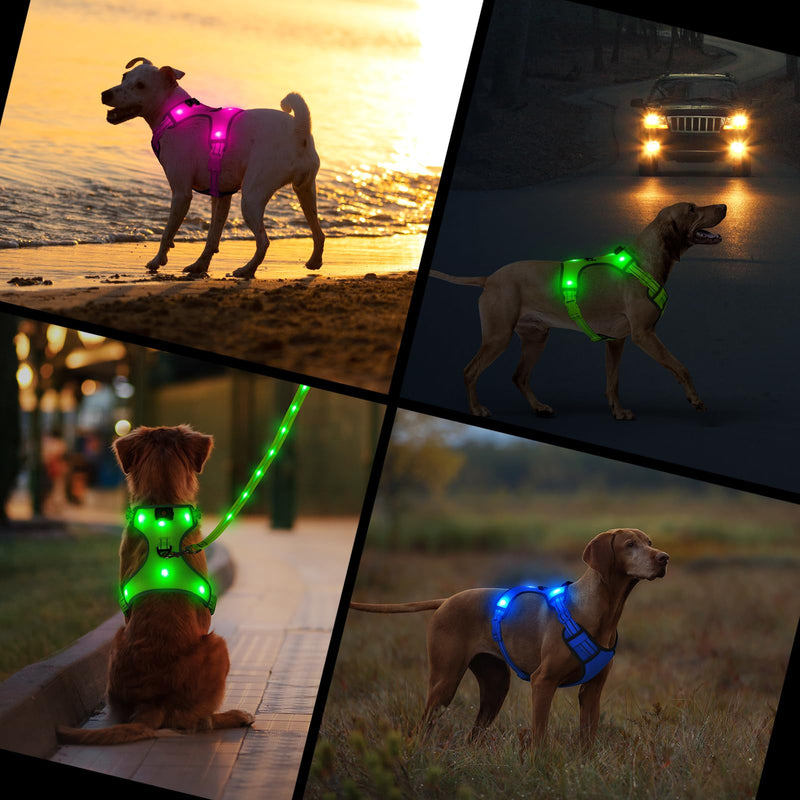 Light Up Dog Harness - Safety LED Dog Vest, No-Pull LED Dog Harness, Rechargeable Glowing Pet Vest Light for Night Walking Camping (Pink, Small) Pink - PawsPlanet Australia