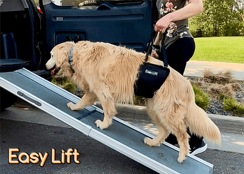 Easy Lift Dog Support Sling, Rear Hind Leg Harness for Injured & Senior Dogs, or Surgery Recovery & Rehabilitation, Padded for Comfort, Ergonomic Design, Machine Wash & Dry (Large/Extra Large) Large / Extra Large