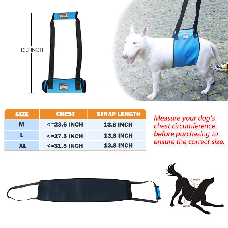 Dog Sling for Large Dogs Hind Leg Support, Dog Lift Harness with Handle for Lifting Back Legs for Weak Rear Legs, Soft Hind Leg Helps Senior, Injured, Disabled & After ACL Surgery (Blue, XL) Blue - PawsPlanet Australia