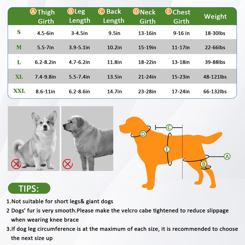 Dog Knee Braces for Back Leg, Dog Leg Brace with Vest for Small Medium Large Dogs Knee Support for Dogs ACL/CCL Care Ideal for Dog Back Legs (S)