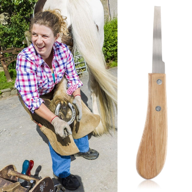 VANZACK 2Pcs Horseshoe Files with Wooden Handles Portable Stainless Steel Hoof Trimming Tools for Horses Efficient Hoof Cleaning and Repair