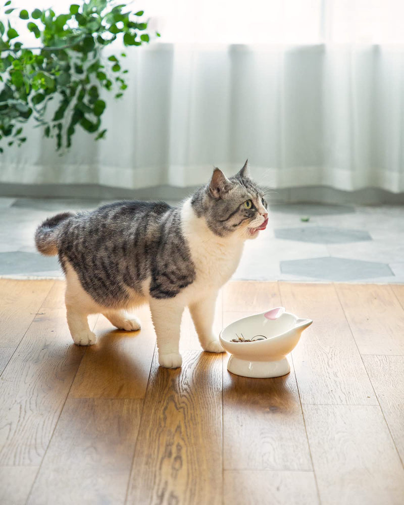 Raised Cat Food Bowl Ceramic 15° Tilted Cat Food Bowls Protect Cat's Spine Anti Vomiting Backflow Prevention Cat Bowls for Adult Cats, Kitten, and Small Dogs, Pink Pink Ears - PawsPlanet Australia