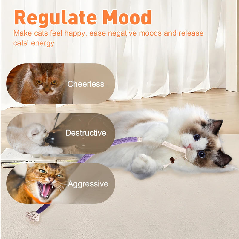 Sisal Rope Cat Toys, 6 Pcs Cat Chew Toy for Teeth Cleaning, 27.56 Inches Big Catnip Rope Toys for Indoor Cats, Interactive Cat Nip Teething Toys, Safe Chew Cat Toys (6 Bags of Catnip Included) - PawsPlanet Australia