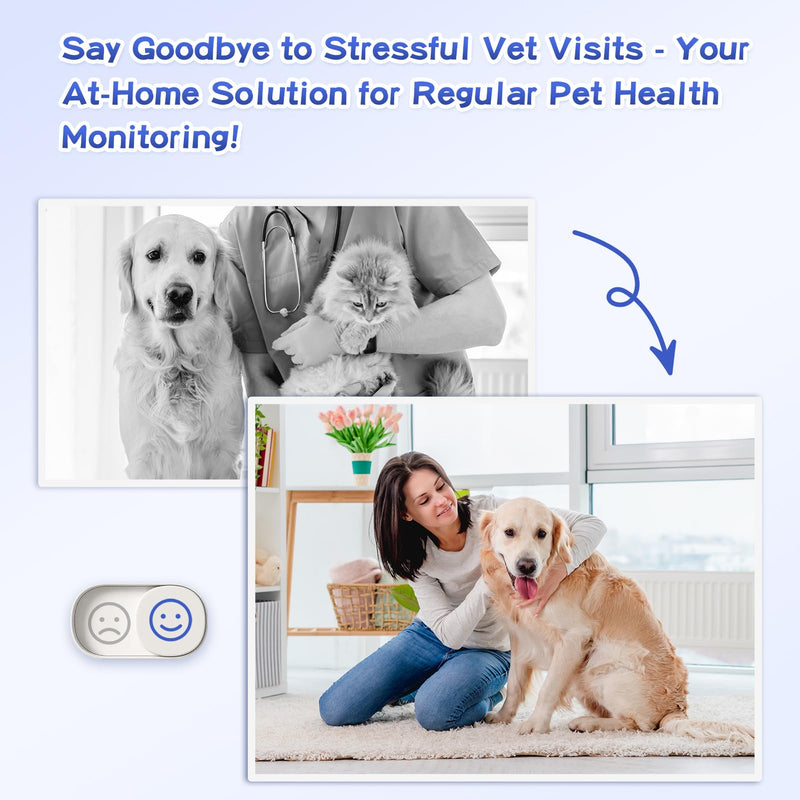 10-Parameter Urine Test Strips for Cat & Dog 10 in 1 UTI Test Kit Pets Rapid Diabetes Urinalysis Testing 100 Counts, 1 Pack 1 Count (Pack of 100) - PawsPlanet Australia