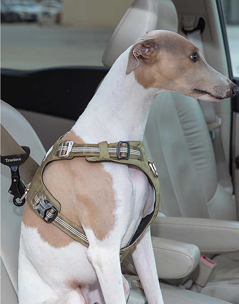 TRUE LOVE Vehicle Seat Belt Safety Buckle Lock, Fit Pet Harness Dog Car Travel Portable Lightweight Unisize Green/Gray - PawsPlanet Australia