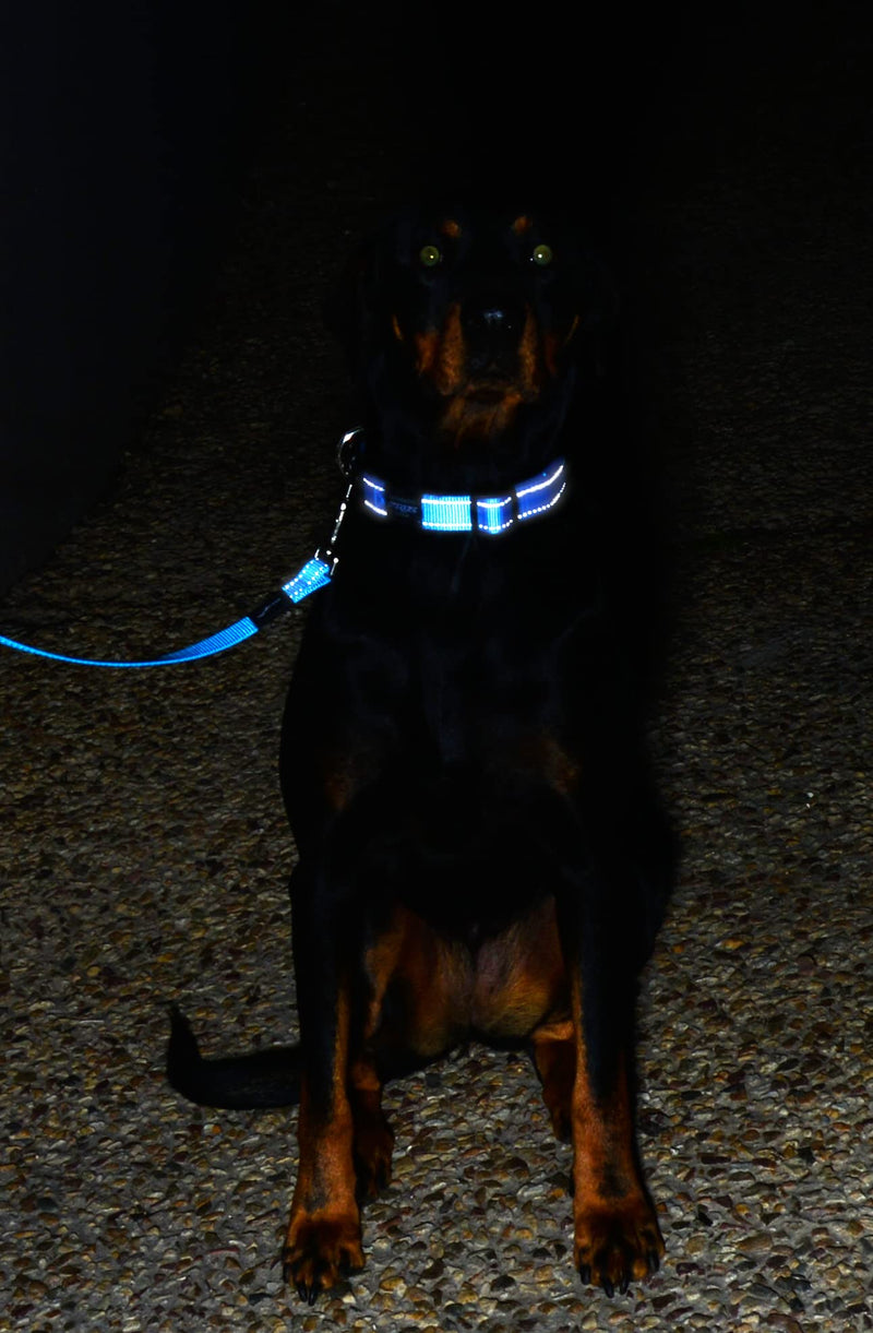 Reflective Dog Leash for Small Dogs, 3/8" wide, 6' long, Green - PawsPlanet Australia