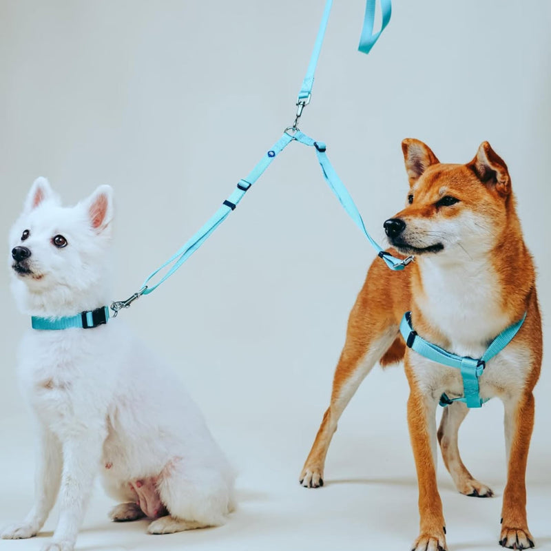 Blueberry Pet Essentials Durable Classic Double Dog Leash Coupler, Military Green, Medium/Large, Dual Walking & Training Leashes for Two Dogs Coupler Double Leash - M/L (20-90lbs) (Pack of 1) - PawsPlanet Australia