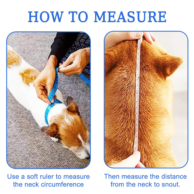 Soft Dog Cone Collars for Small Medium Dogs, Lightweight Recovery Elizabethan Collar for Dog After Surgery, Comfortable Soft Material Adjustable Pet Cone Washable (Neck: 11''-14'') Blue/Green Neck: 11''-14'' - PawsPlanet Australia