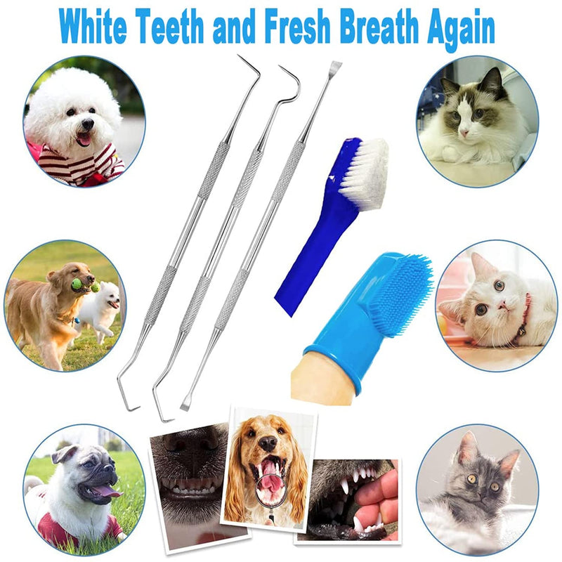 QeeHeng 8 Pack Dog Teeth Cleaning Tools Plaque Remover, Dog Tooth Brushing Kit Include 3 Different Stainless Steel Dog Tooth Scraper and 2 Dog Toothbrush and 3 Dog Finger Toothbrush 8 Piece Set - PawsPlanet Australia