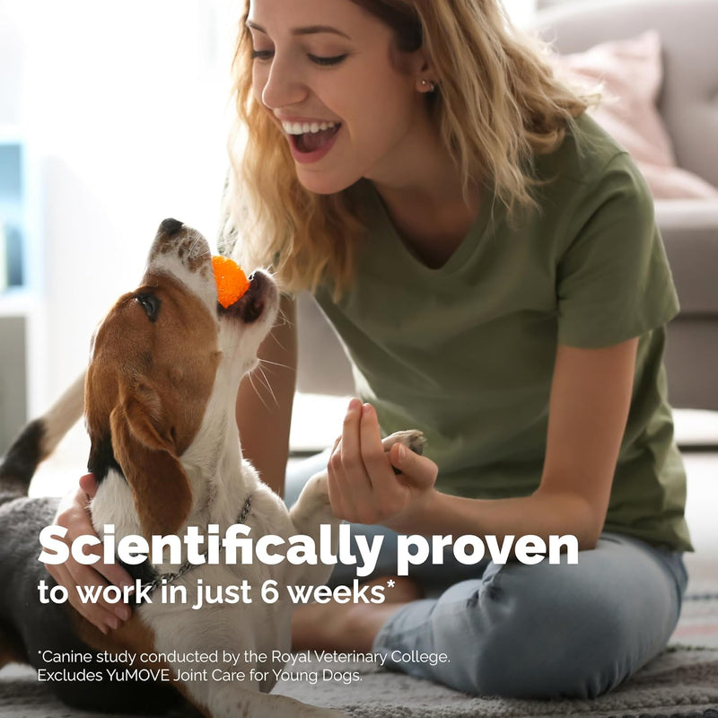 YuMOVE Hip & Joint Supplement for Dogs - Glucosamine, Green Lipped Mussel, Hyaluronic Acid & Omega 3 Supports Mobility, Flexibility & Joint Comfort - 60 Chews (Small/Medium Dogs) - PawsPlanet Australia