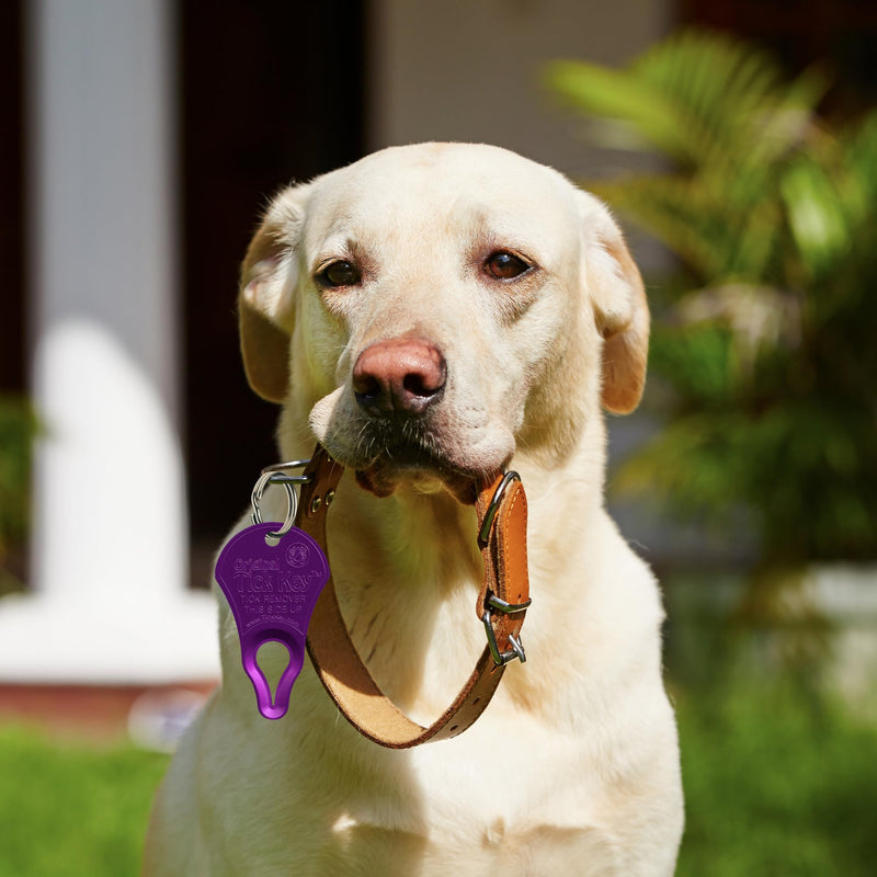 The Original Tick Key - Tick Detaching Device - Portable, Safe and Highly Effective Tick Detaching Tool (Assorted) Multi - PawsPlanet Australia