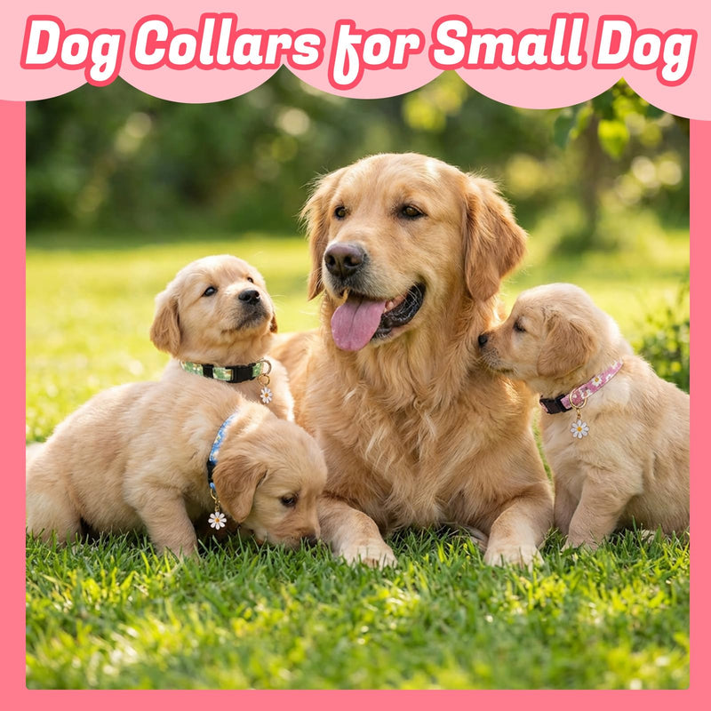 6 Pack Dog Collar and Leash Set, Puppy Collar and Leash Adjustable Floral Dog Collars for Small Dogs Soft Pet Collar for Puppy Small Dogs