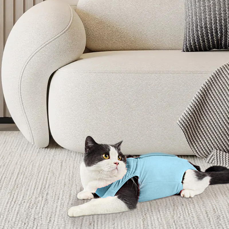 Cat Recovery Suit,Post Surgery Onesie for Kitten,Breathable Soft Anti Licking Cat Bodysuit,Spay Surgical Recovery Clothes for Abdominal Wounds Skin Diseases,Elizabethan Collar Alternative (Blue, M) Blue